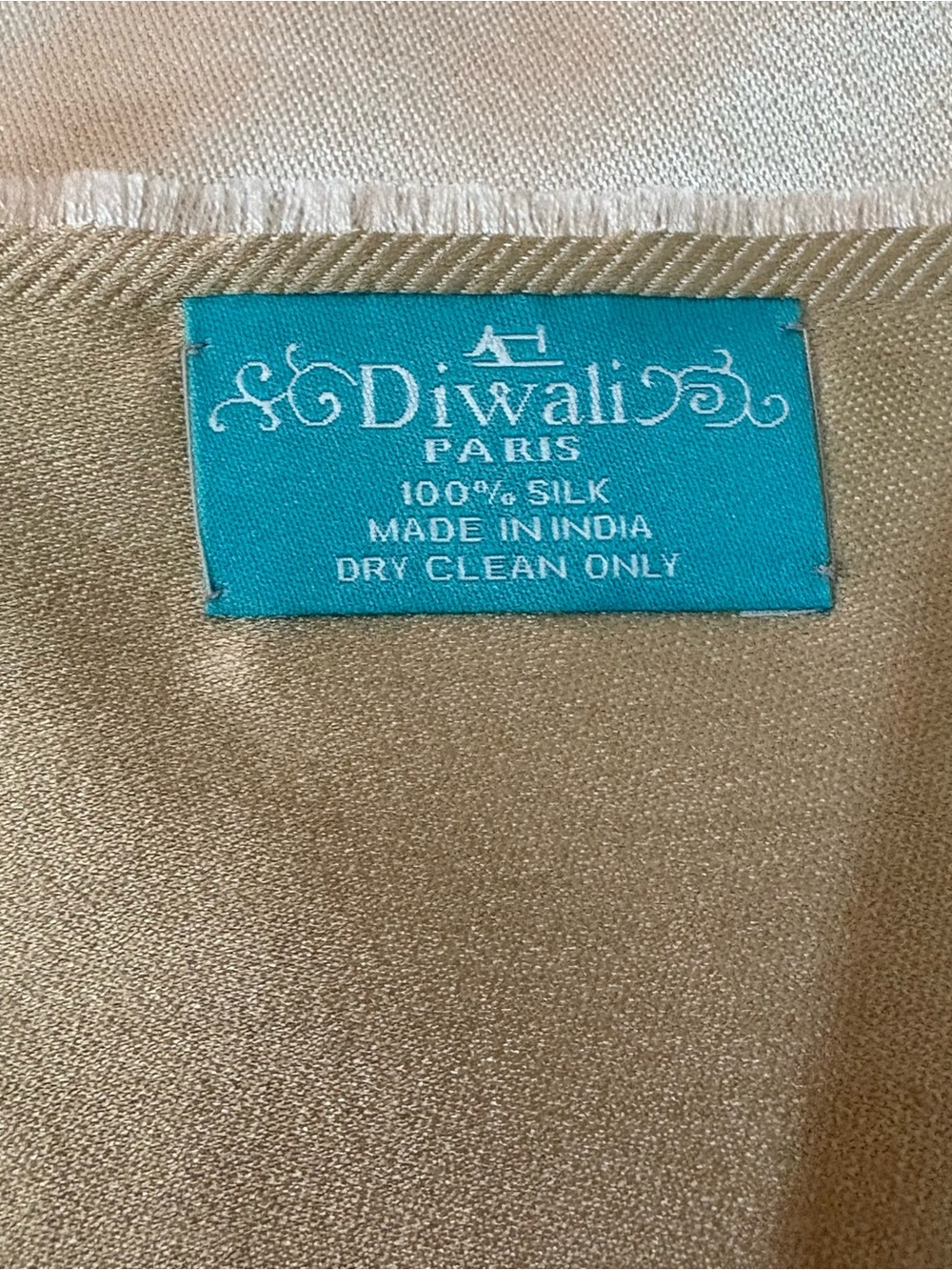 Diwali Paris 100% Silk Top in Champagne